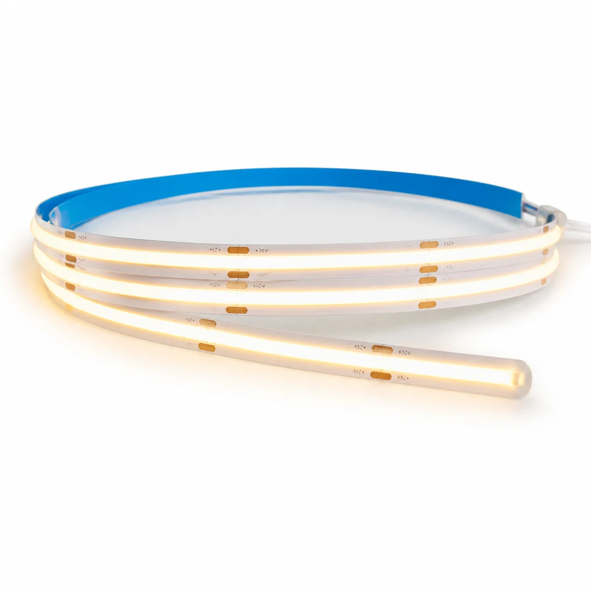 12V & 24V LED Strip wholesale product range